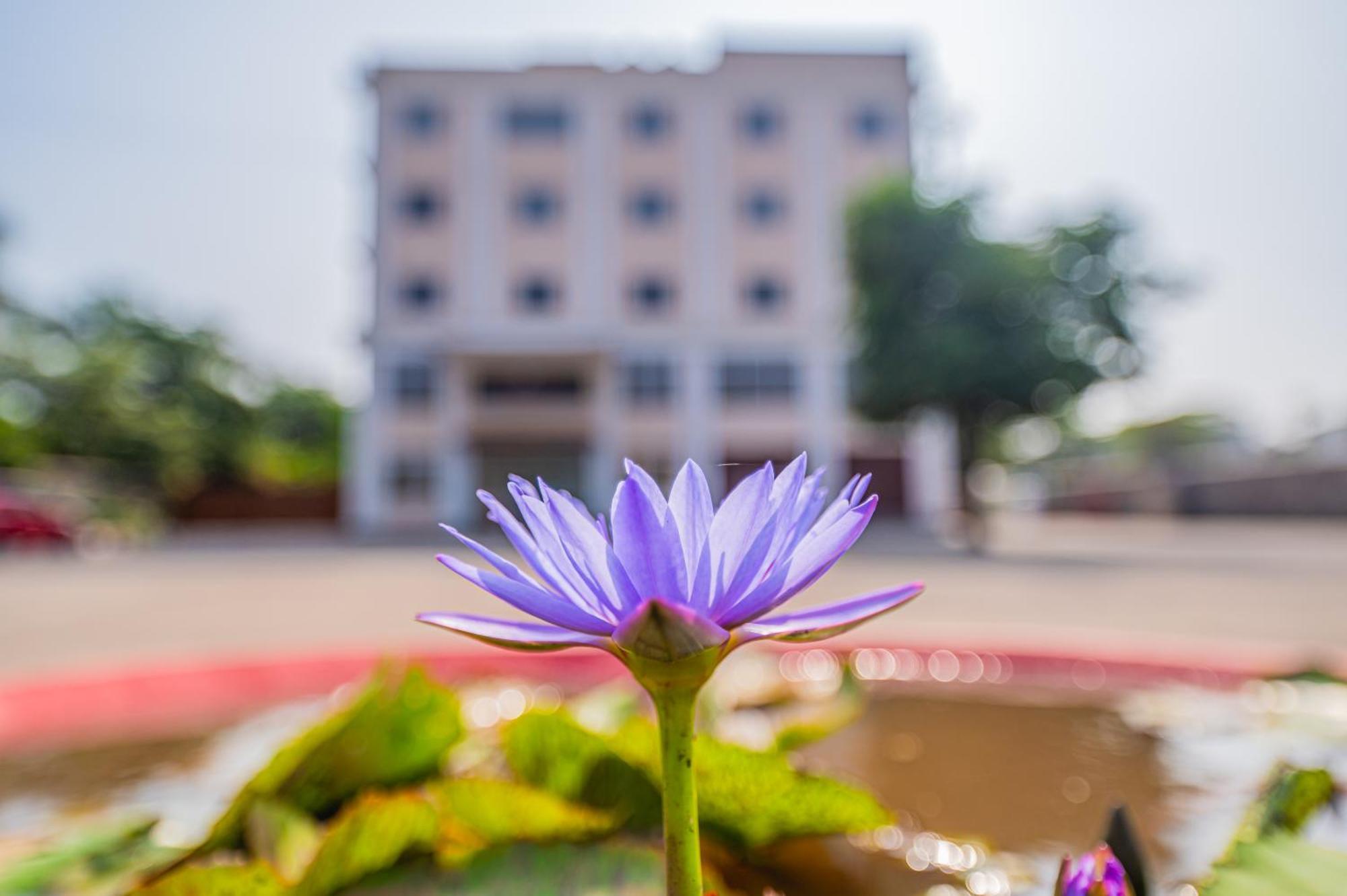 Lotus Leaf Hotell Pali  Exteriör bild